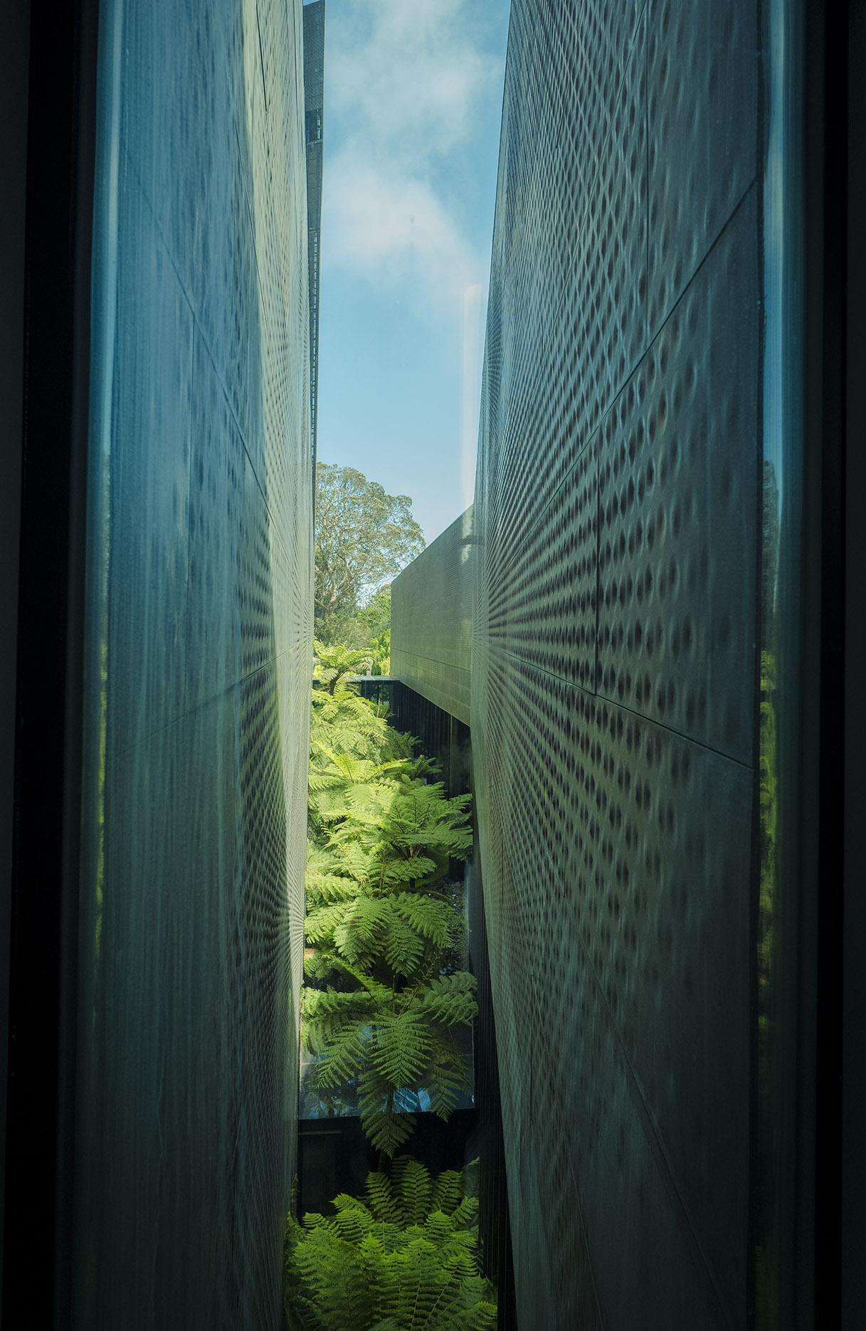 jeff-green-deyoung-museum