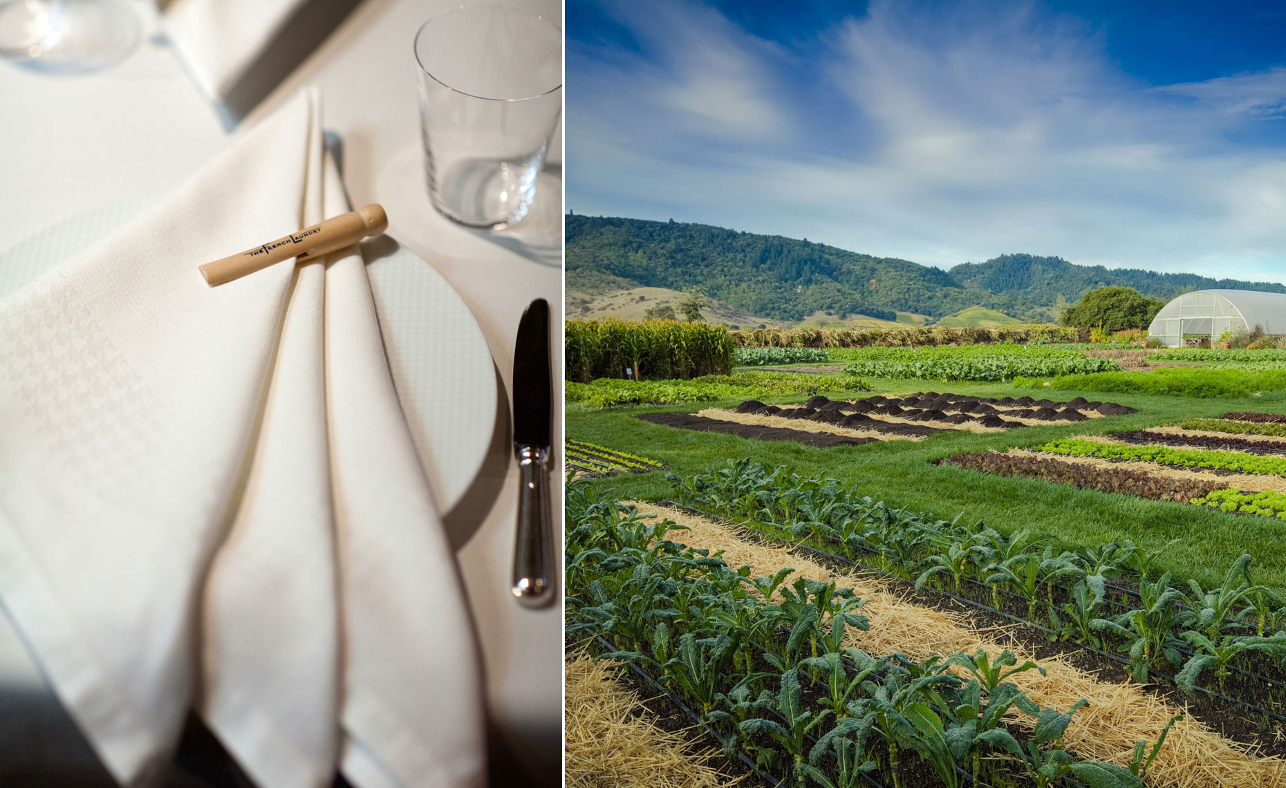 jeff-green-the-french-laundry-table-setting-and-garden